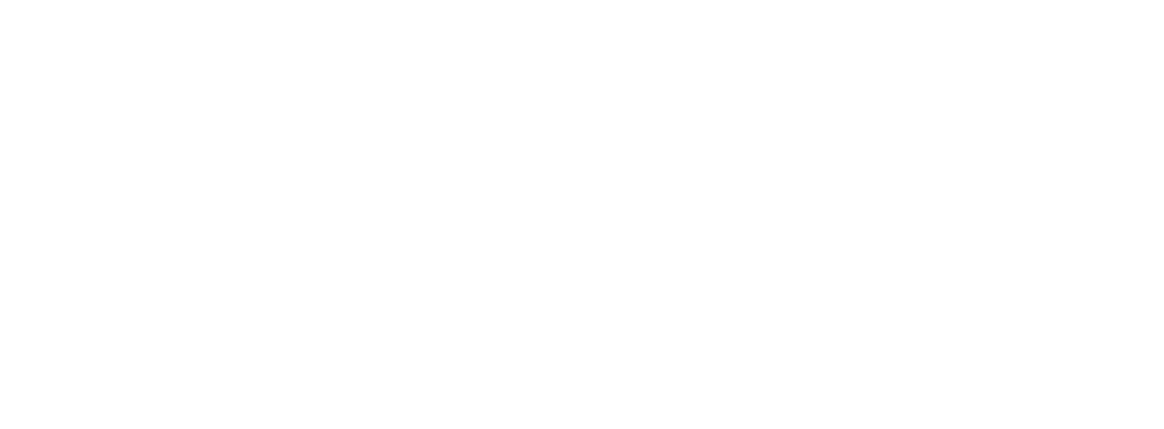 SAAV Motors — distribuidor oficial