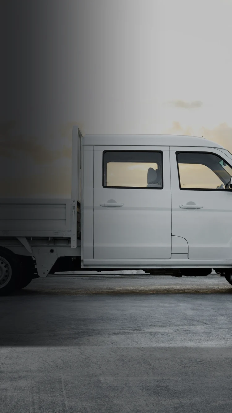 Shineray DTRUCK