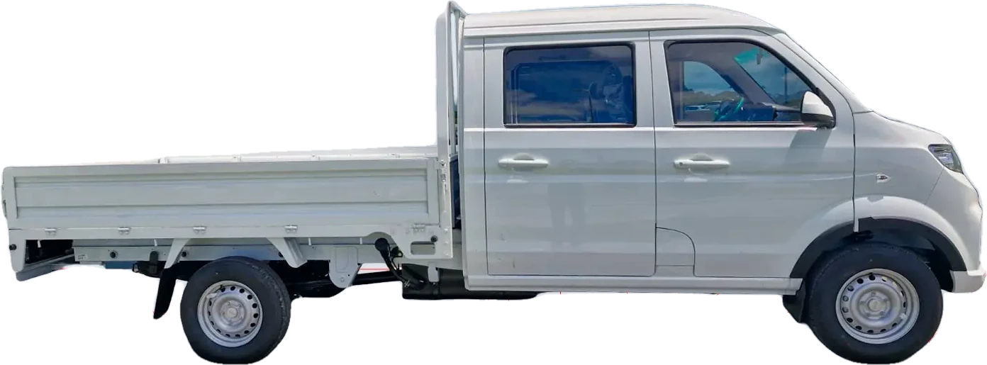 Shineray DTRUCK