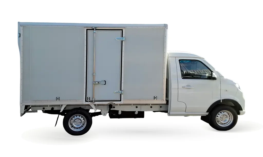 Shineray TLUX Cargo — foto 6